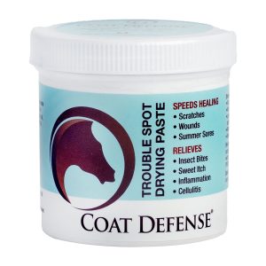 Troublespotdryingpaste24oz
