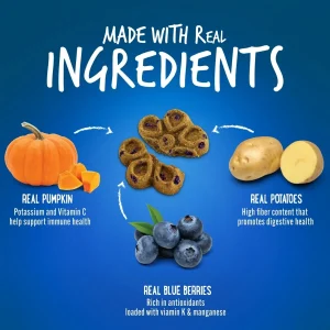 Biggiespumpkinblueberry1