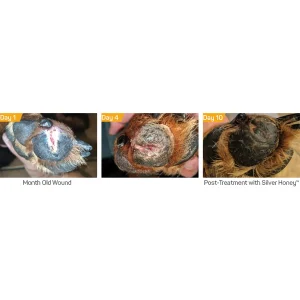 Silverhoneyhotspotwoundcarespray1