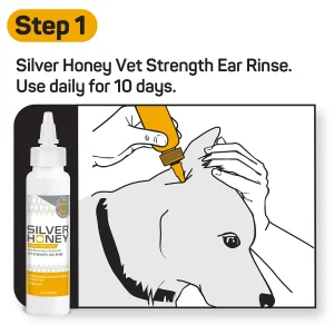 Silverhoneyrapidearcareeartreatment1