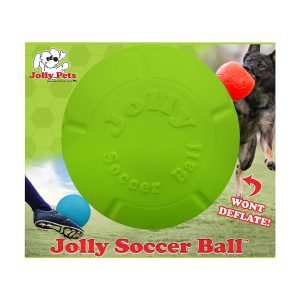 Jollysoccerballsmallgreen