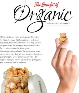 Cookieinfo