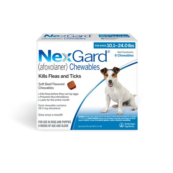 Nexgarddogblue