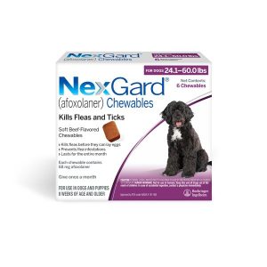 Nexgarddogpurple