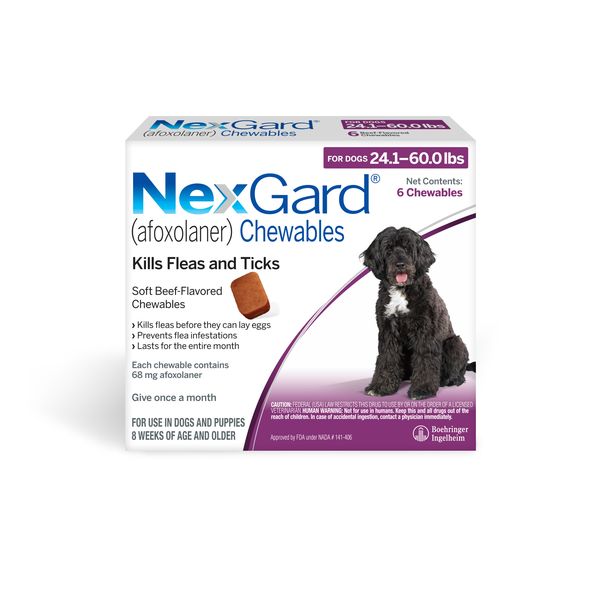 Nexgarddogpurple