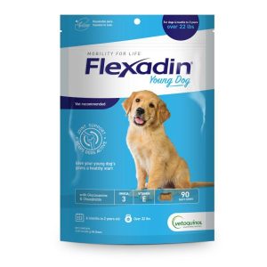 Flexadinyoungdog1