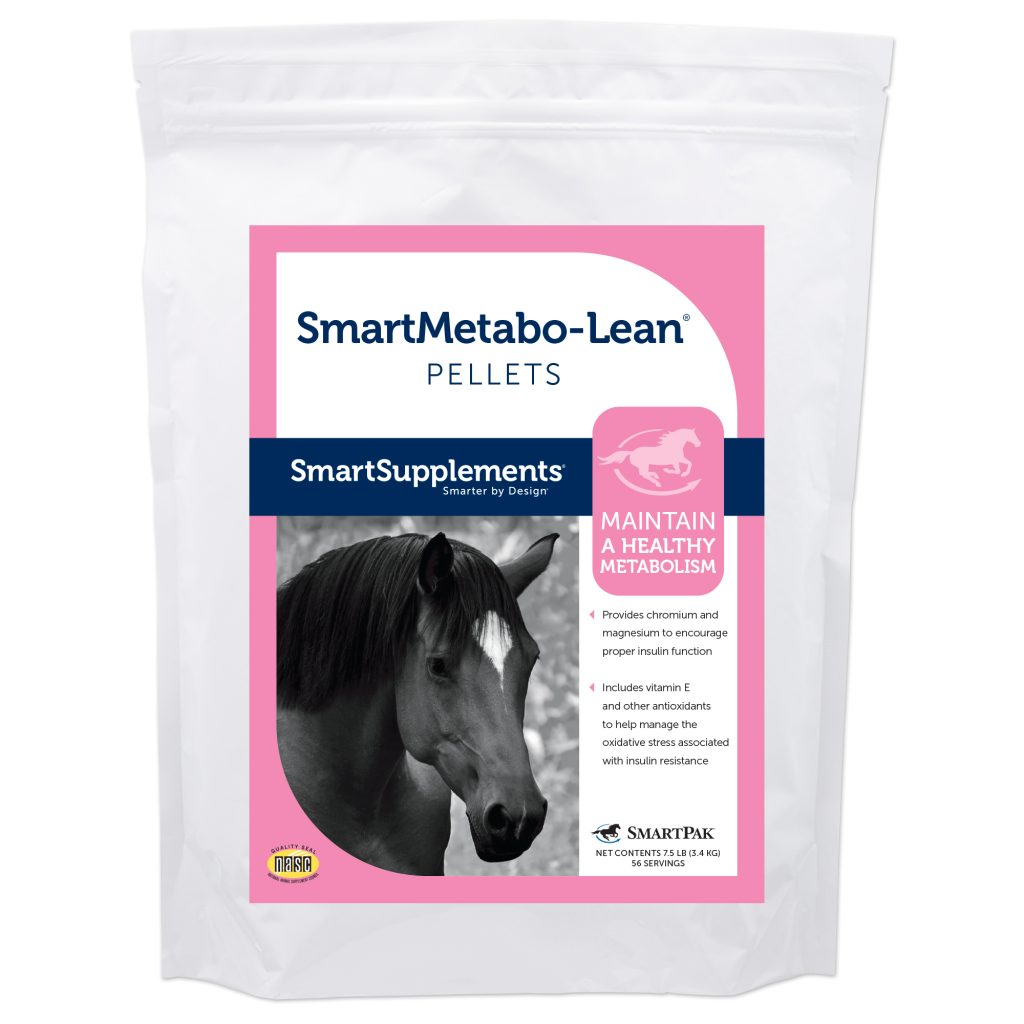 17885 Smartmetabo Lean Bag 7.5lb