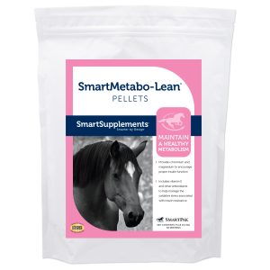 17885 Smartmetabo Lean Bag 7.5lb