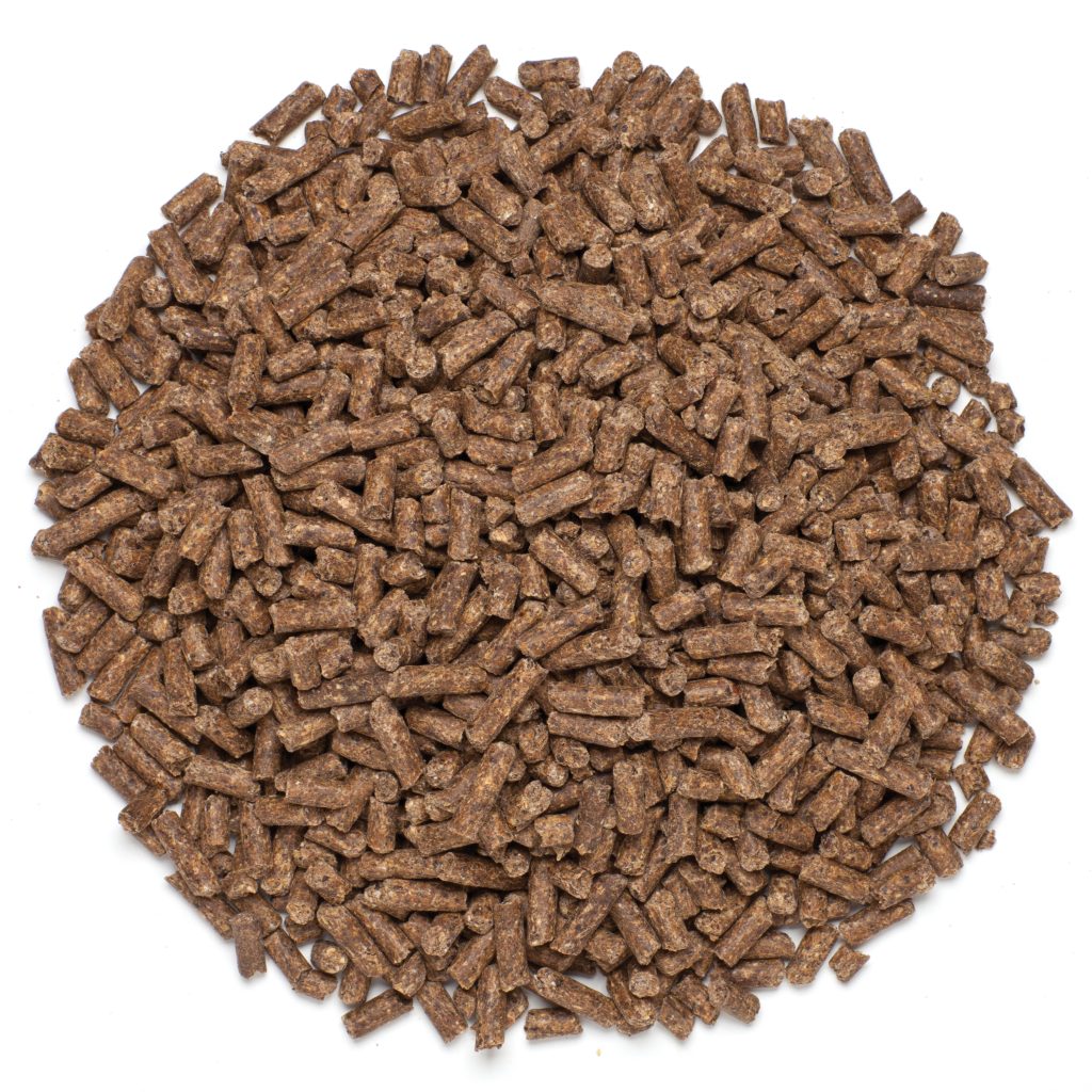 18251 Pile Phyto Quench