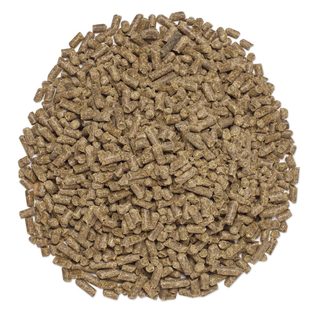 2109906495 Psyllium Pile Pdp 2000x2000