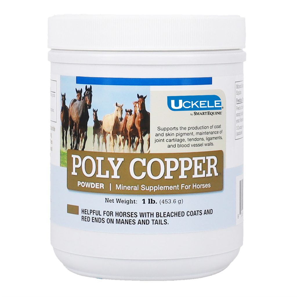 2109909109 Polycopper Main Pdp 2000x2000