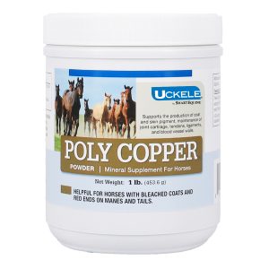 2109909109 Polycopper Main Pdp 2000x2000