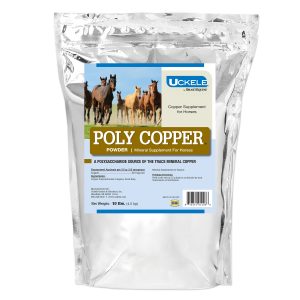 2109909110 Polycopper Main Pdp 2000x2000