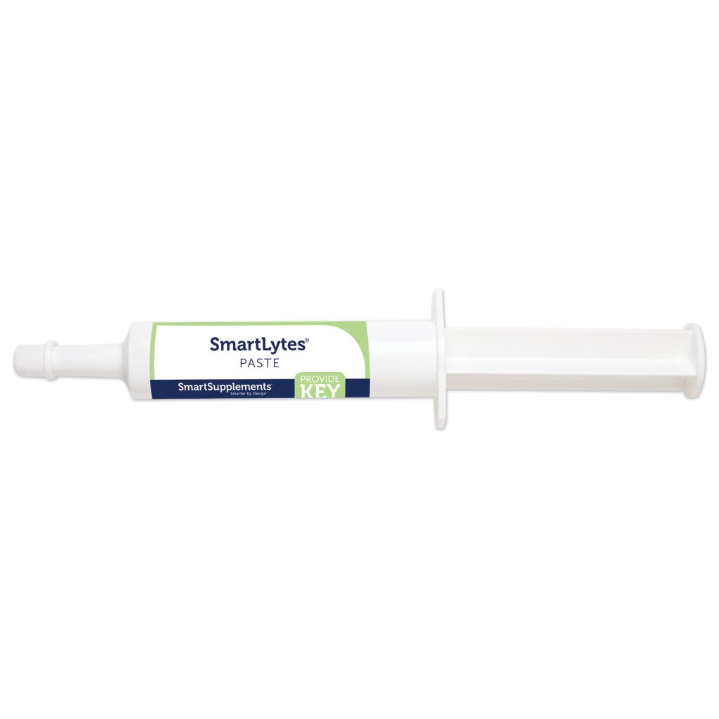 21350 Smartlytespaste