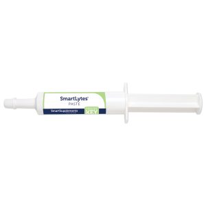 21350 Smartlytespaste