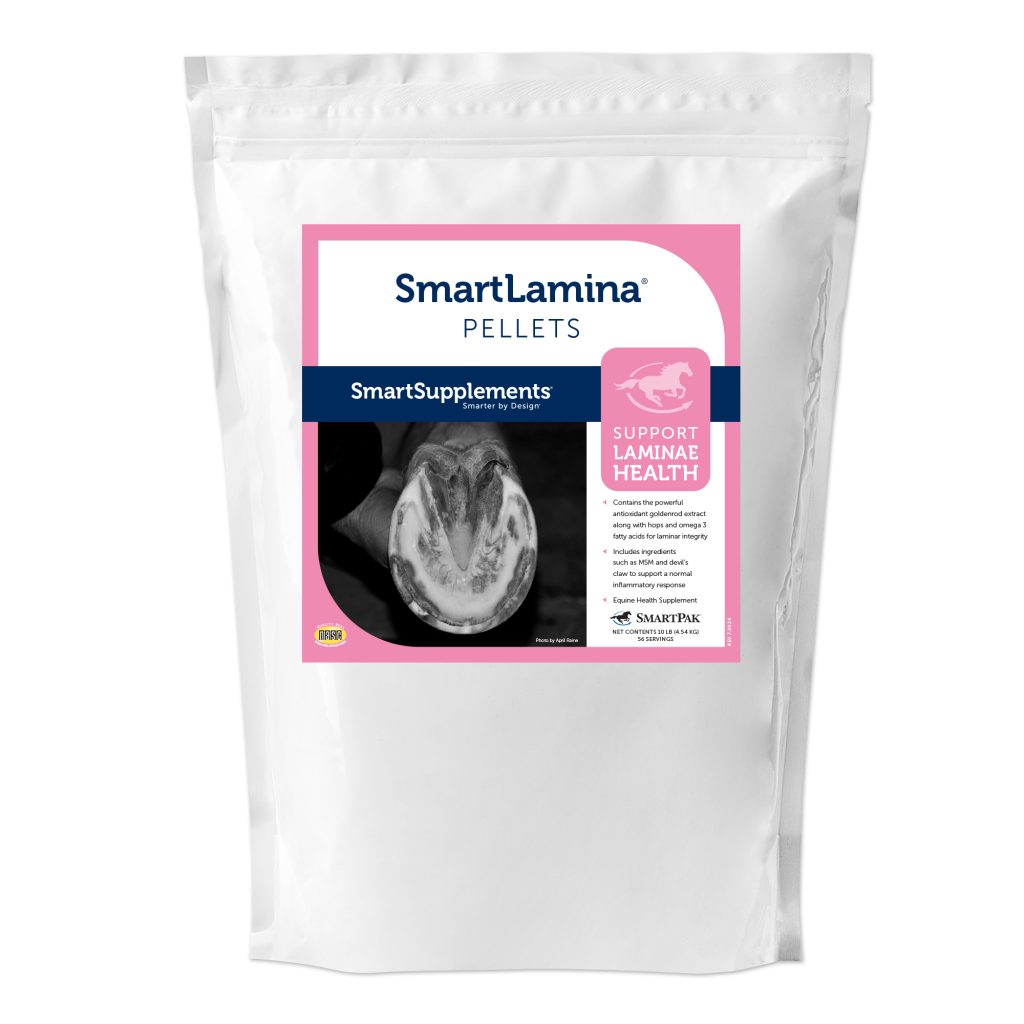 22482 Smartlamina Bag 10lb