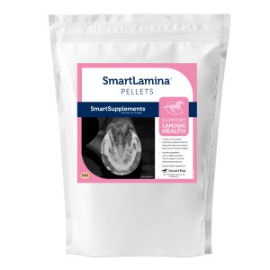 22482 Smartlamina Bag 5lb