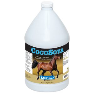 23354 Cocosoya 5gallon