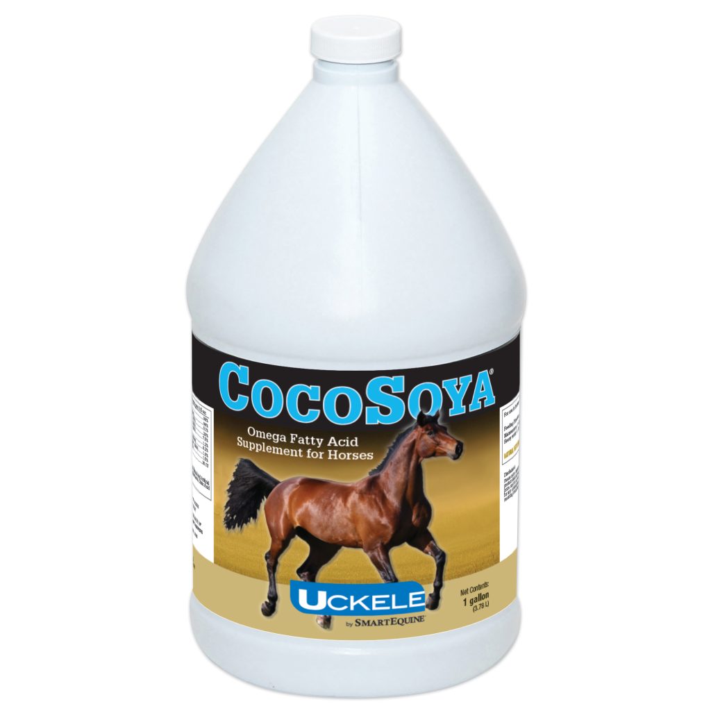 23354 Cocosoya Gallon