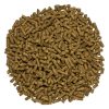 25595 Turmeric Pile