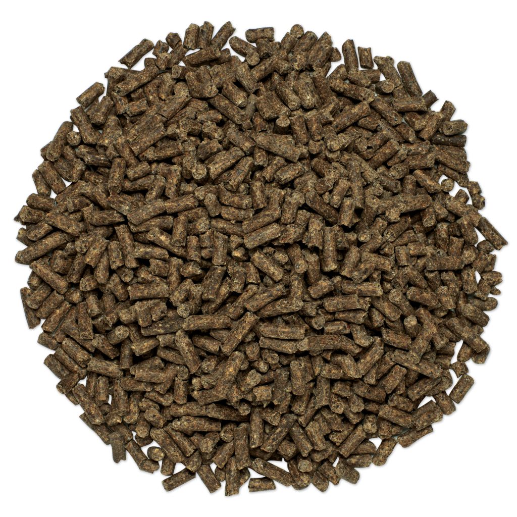 27076 Chasteberry Pile