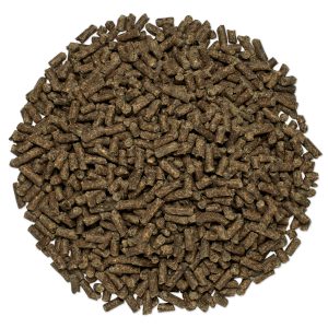 27076 Chasteberry Pile