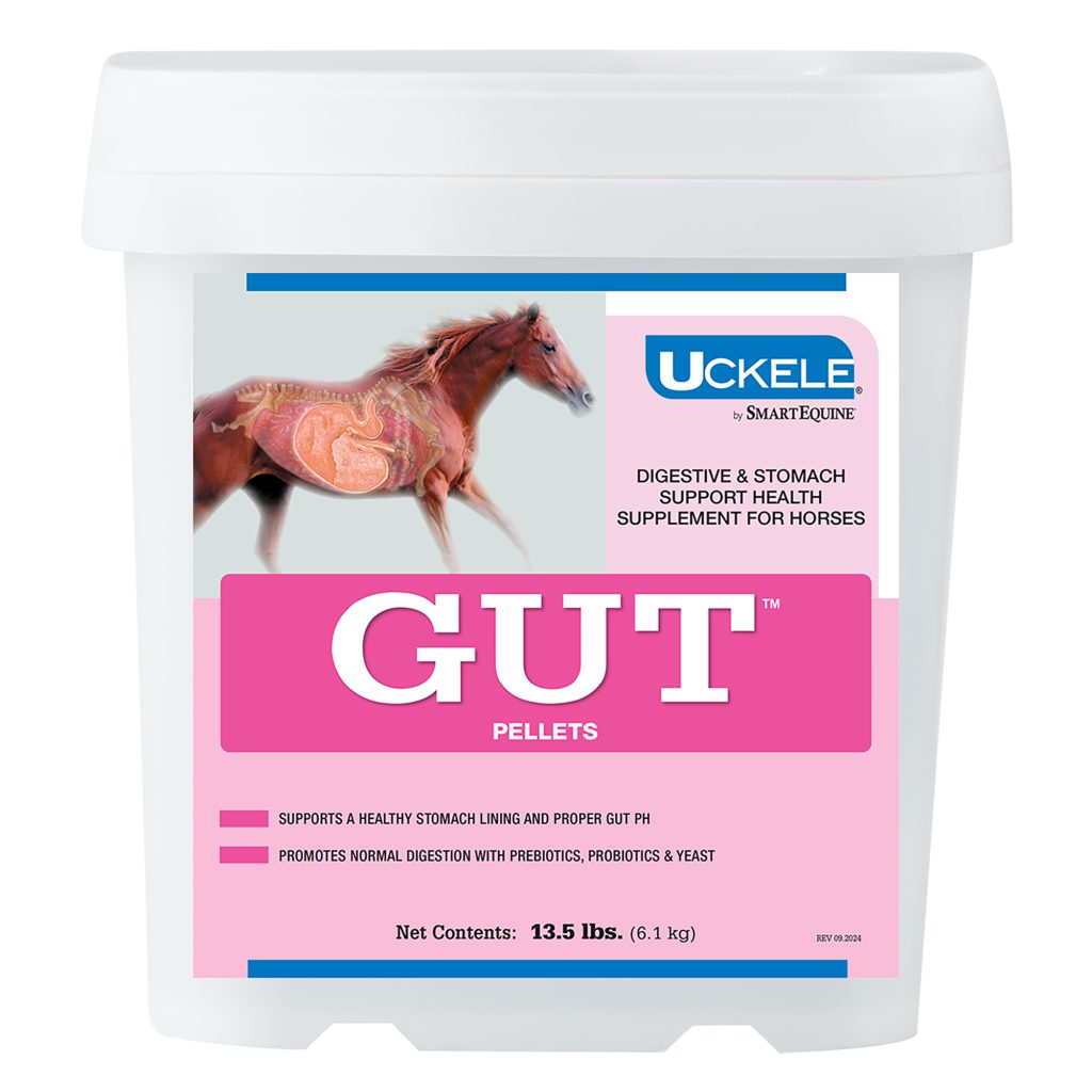 35425 Gut Bucket 13.5lb