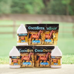 35443 35446 35447 35444 35445 35427 23354 Cocosoya 7317