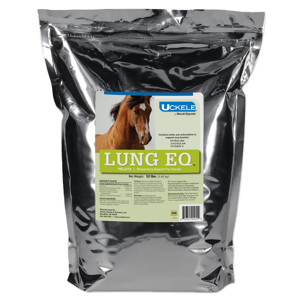 35913 Lung Eq Bag 12lbs