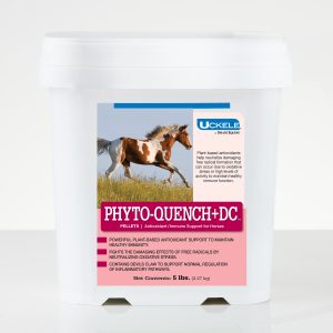 36184 Phyto Quench Pellets Uckele Pdp Amazon 2000x2000