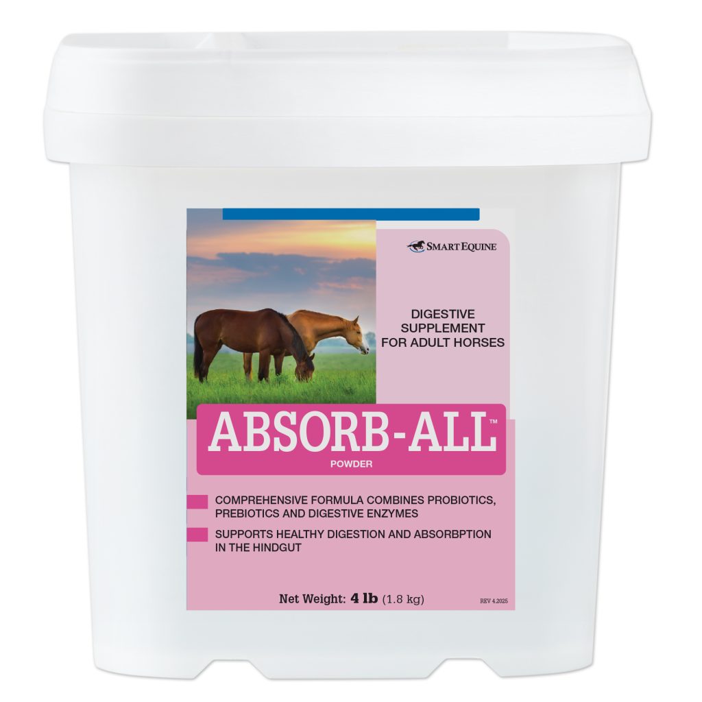 Absorb All Powder 4 Lb Pail 2109911393 36272 Bucket Absorb All4lb