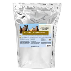 Acetyl L Carnitine Powder 1 Lb Bag 2109911394 36175 Bag 1
