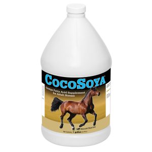 Cocosoya 1 Gal Bottle (2109763239) 23354 1gallon