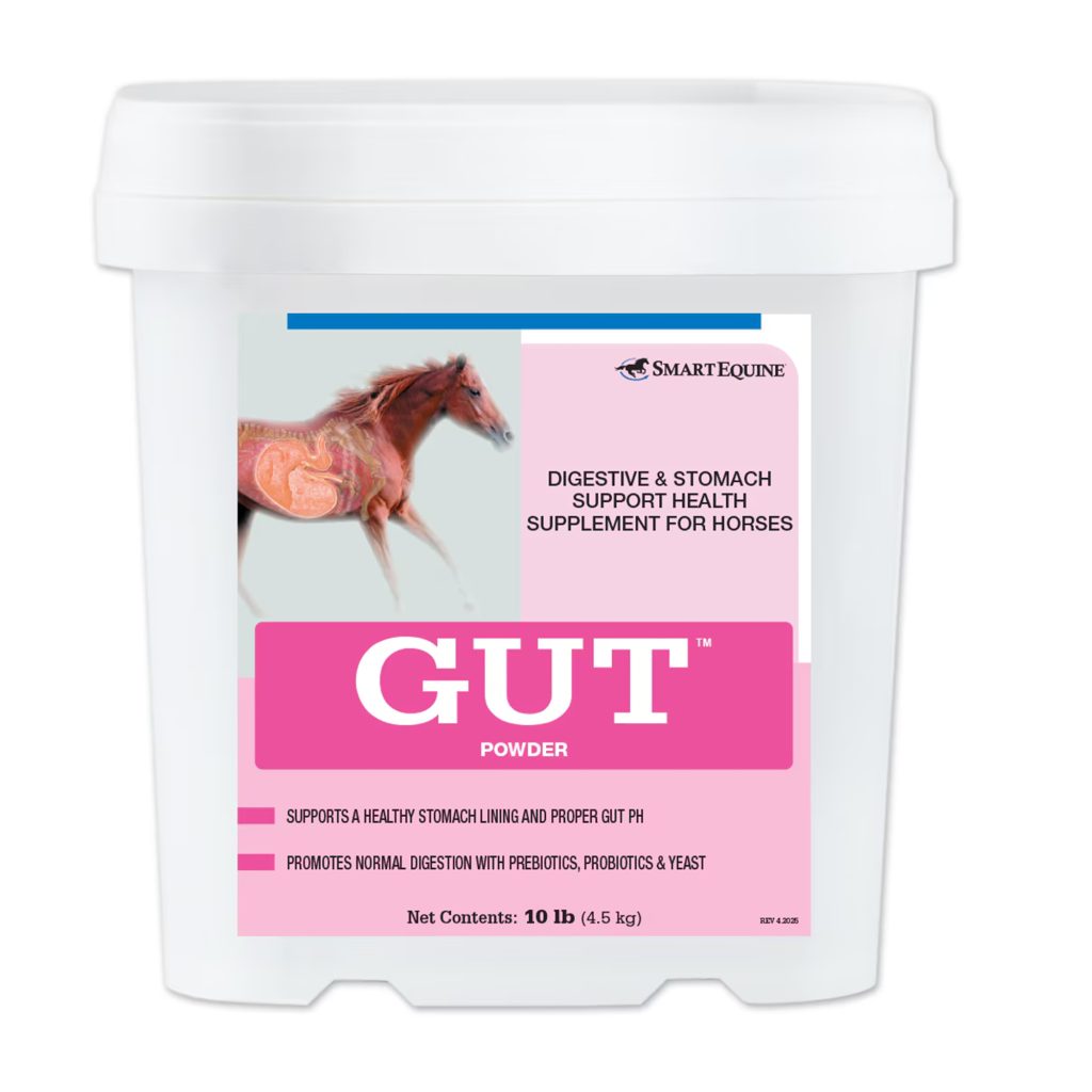 Gut Powder 10 Lbs (2109696379) 10177 Tub 10lb