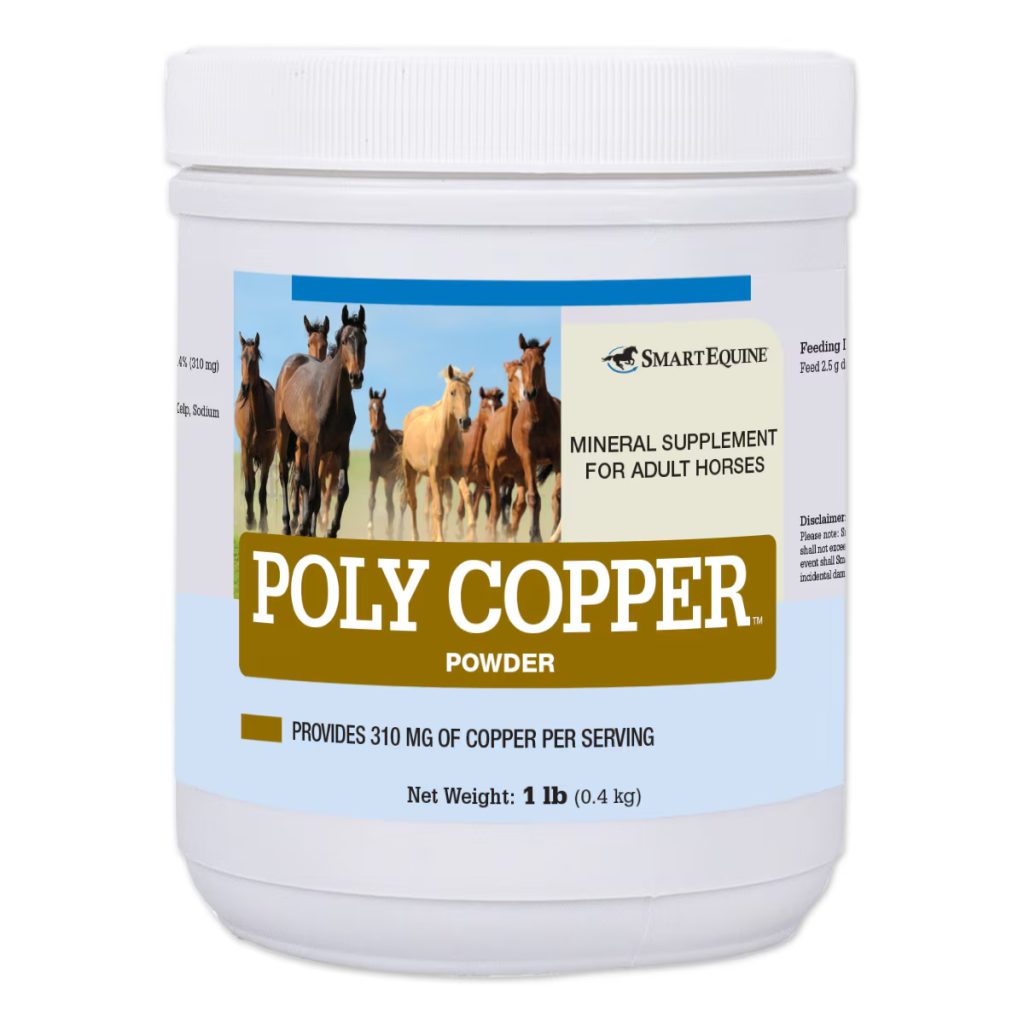 Poly Copper Powder 1 Lb (2109909109) 36109 Bucket1lb Copy