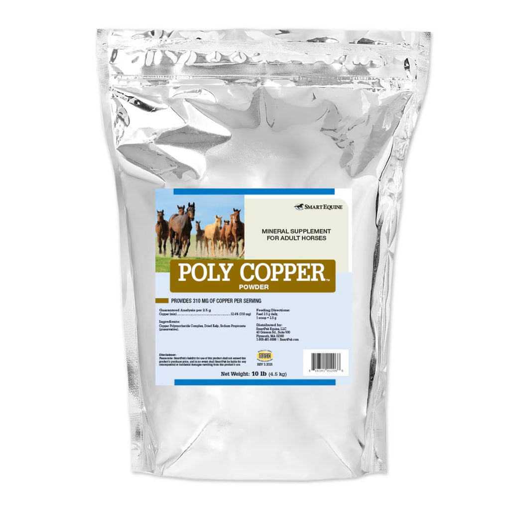 Poly Copper Powder 10 Lb (2109909110) 36109