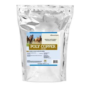 Poly Copper Powder 10 Lb (2109909110) 36109