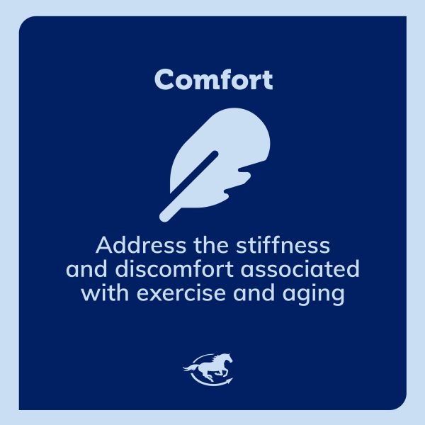 Ss Comfort Gallery Images Pdp Amazon