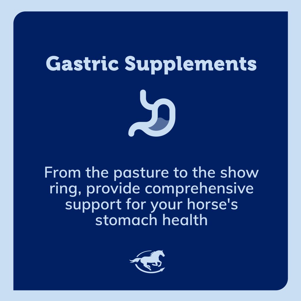 Ss Gastric Gallery Images Pdp Amazon