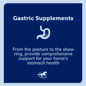 Ss Gastric Gallery Images Pdp Amazon