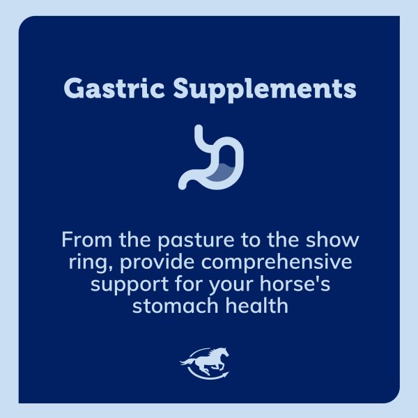 Ss Gastric Gallery Images Pdp Amazon