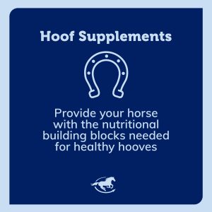 Ss Hoof Gallery Images Pdp Amazon