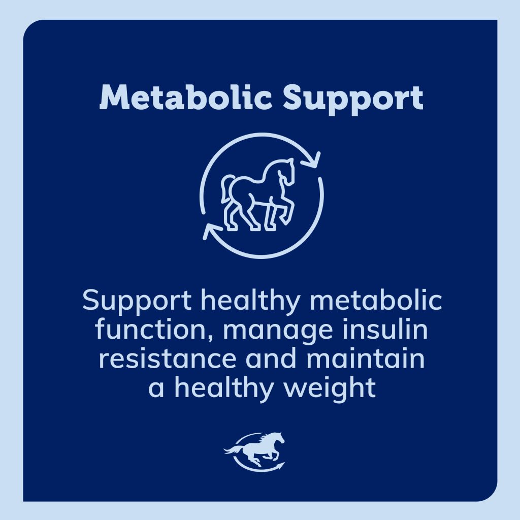 Ss Metabolic Gallery Images Pdp Amazon