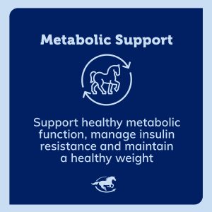 Ss Metabolic Gallery Images Pdp Amazon