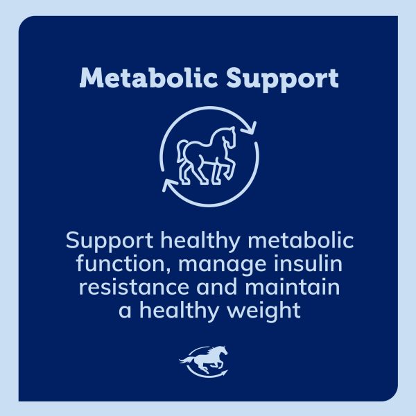 Ss Metabolic Gallery Images Pdp Amazon