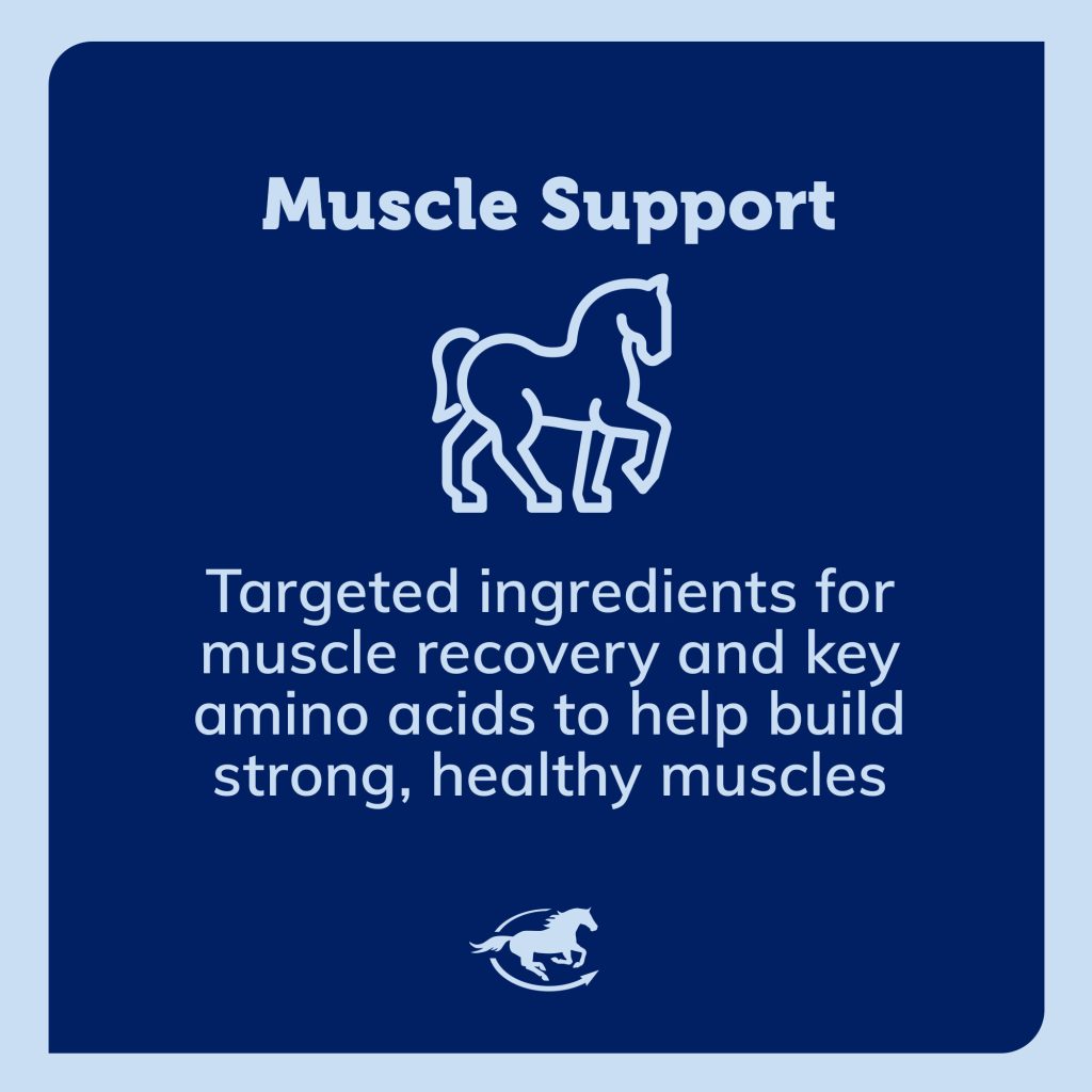 Ss Muscle Gallery Images Pdp Amazon