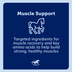 Ss Muscle Gallery Images Pdp Amazon