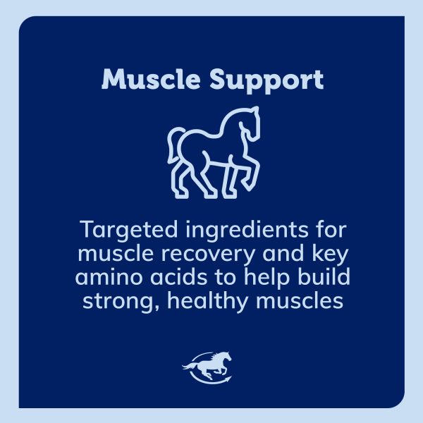Ss Muscle Gallery Images Pdp Amazon