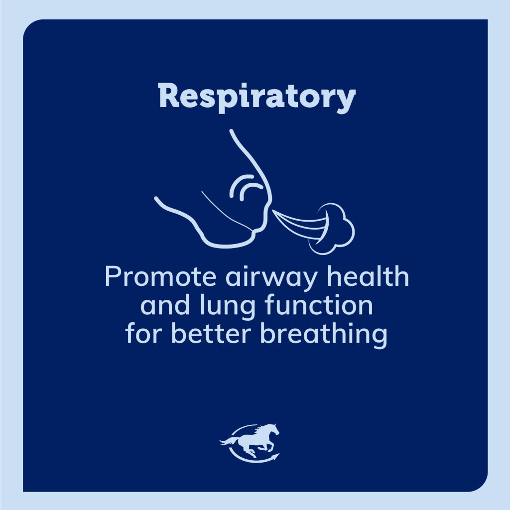 Ss Respiratory V3 Gallery Images Pdp Amazon 2000x2000
