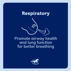 Ss Respiratory V3 Gallery Images Pdp Amazon 2000x2000